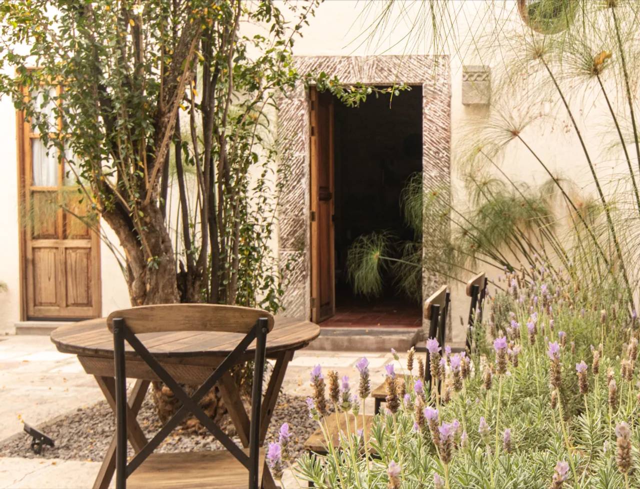 Orchid San Miguel photo 4