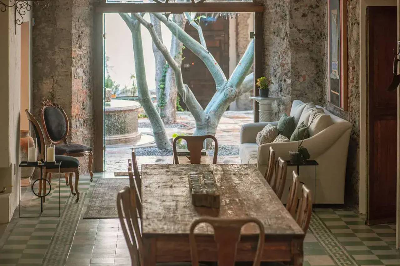 Orchid San Miguel photo 10