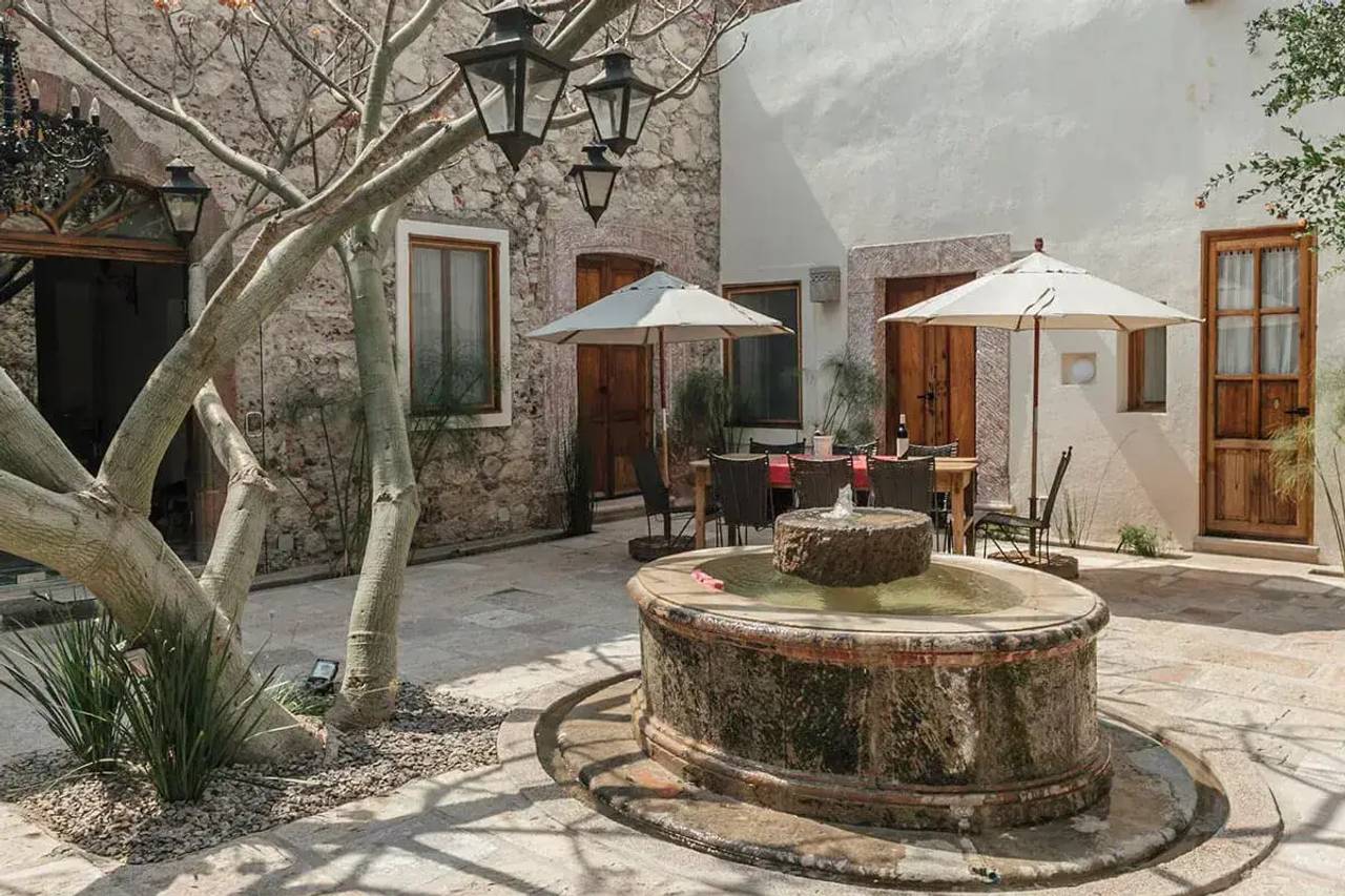 Orchid San Miguel photo 11