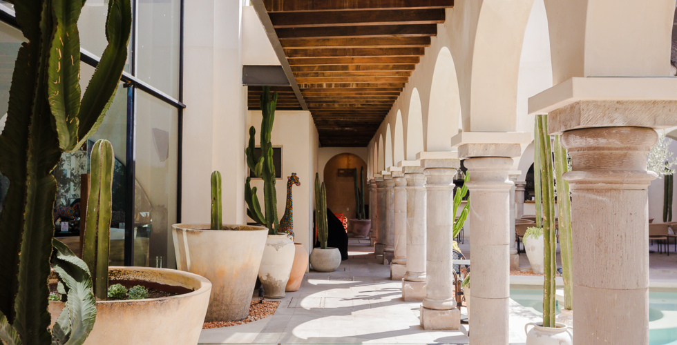 Amatte San Miguel de Allende photo 2