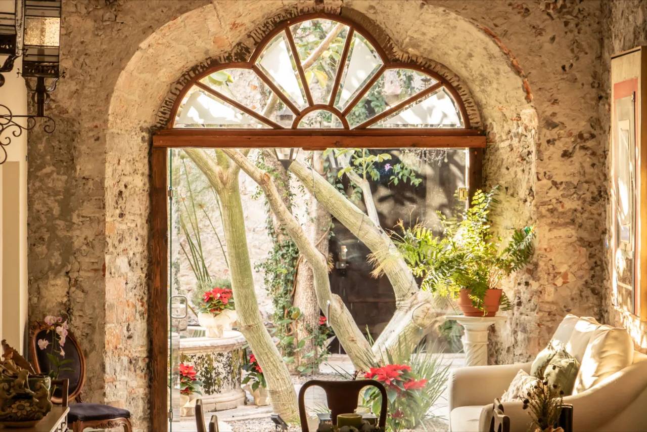 Orchid San Miguel photo 3