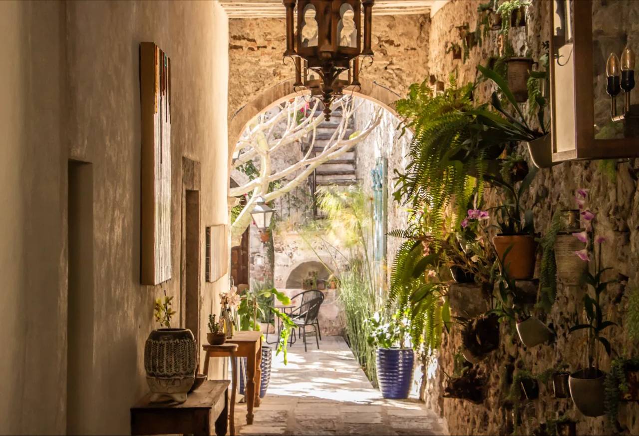 Orchid San Miguel photo 2